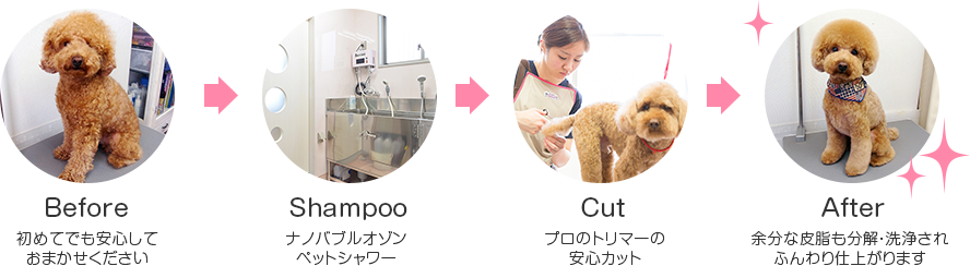 シャンプー:ナノバブルオゾンペットシャワー、カット:プロのトリマーの安心カット、トリミング後:余計な皮脂も分解・洗浄されふんわり仕上がります
